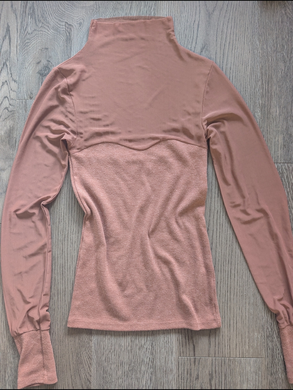 Mesh Sleeve and Neck Top in Dusty Rose